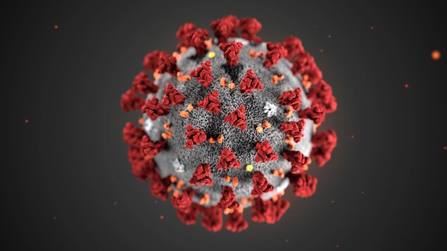 coronavirus-modele-cdc